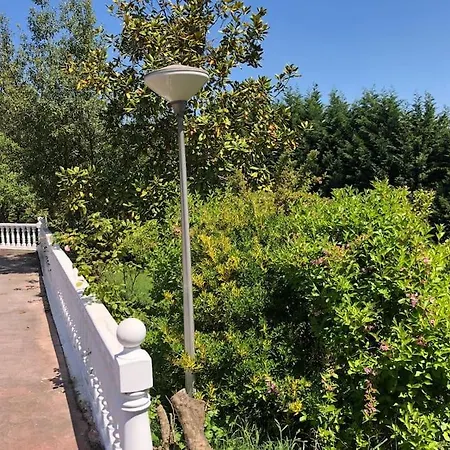 别墅 La Casona De La Carbayeda